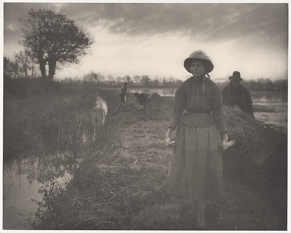 Reed-cutters in the Norfolk fens, 1886